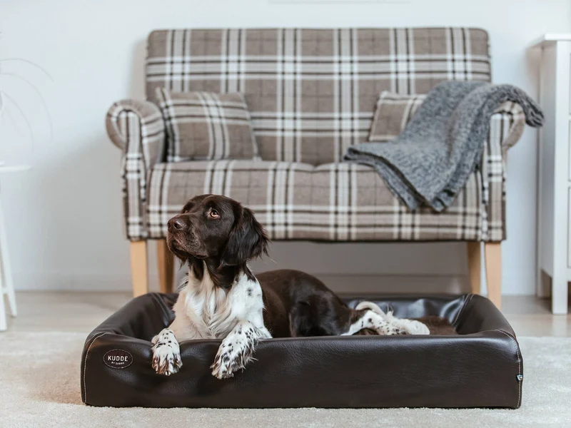 SABRO Hundebett KUDDE Kunstleder