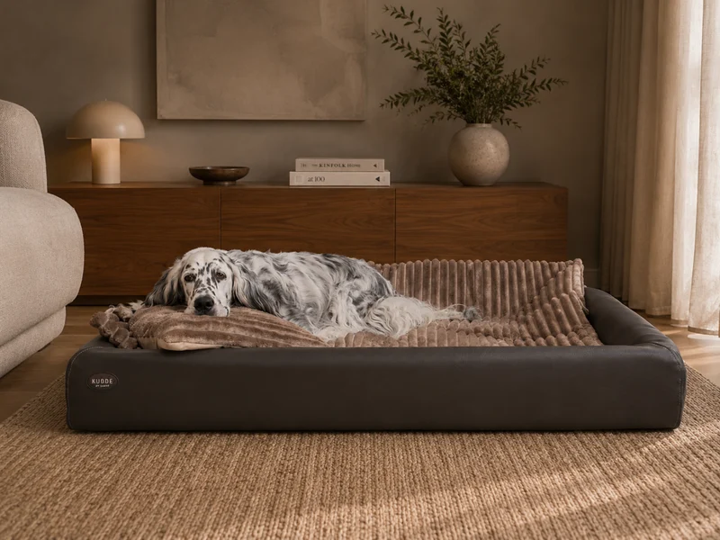SABRO All-In Relax Bundle | KUDDE Hundebett + Einlage & Kissen