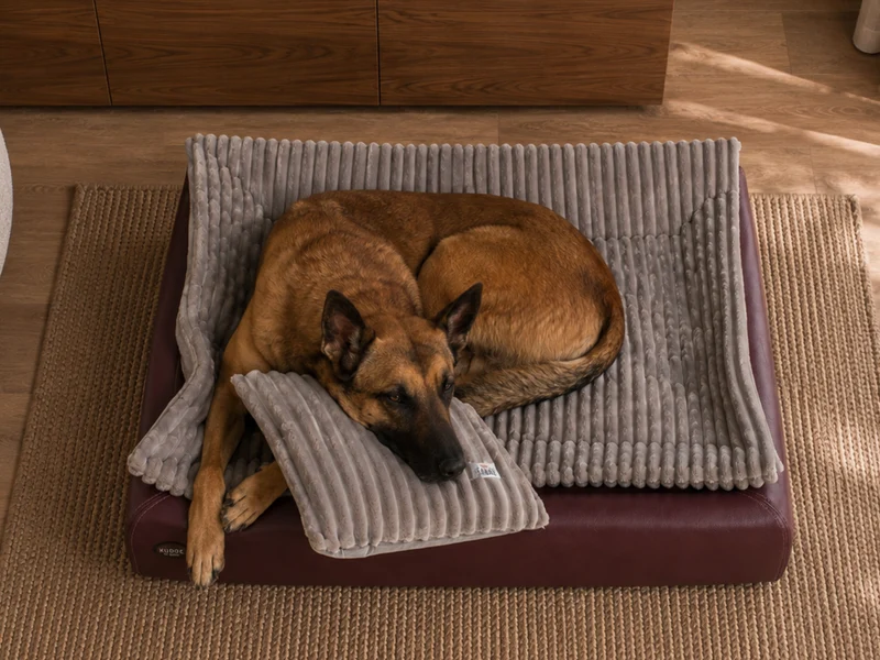 SABRO All-In Relax Bundle | KUDDE Hundebett + Einlage & Kissen