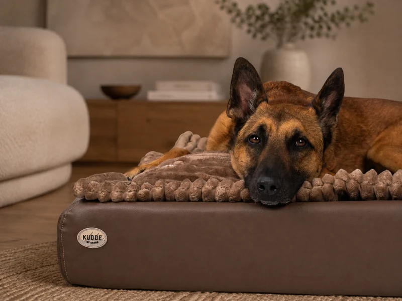 SABRO All-In Relax Bundle | KUDDE Hundebett + Einlage & Kissen