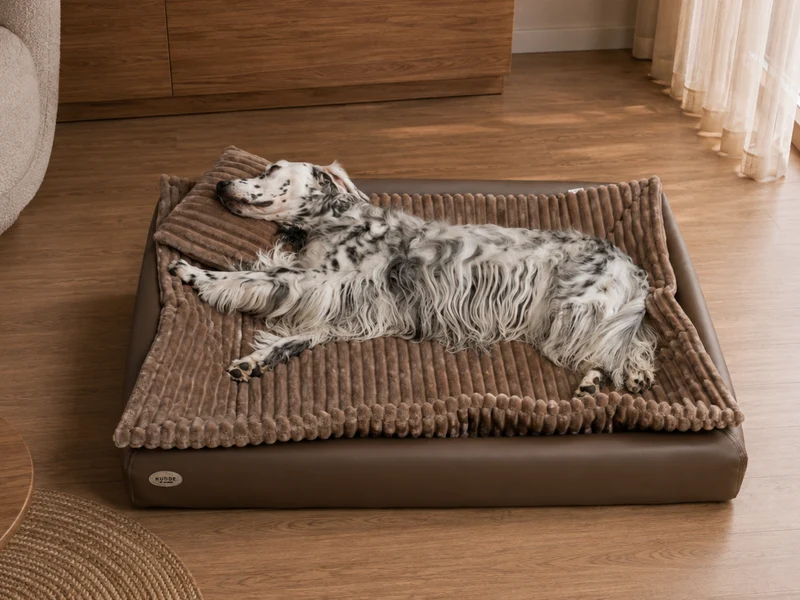 SABRO All-In Relax Bundle | KUDDE Hundebett + Einlage & Kissen