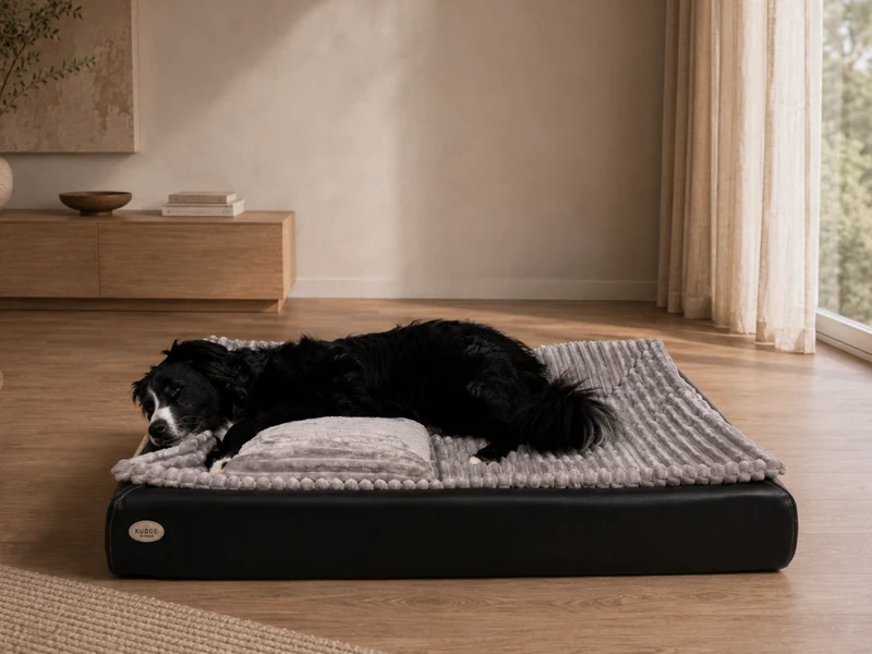 SABRO All-In Relax Bundle | KUDDE Hundebett + Einlage & Kissen