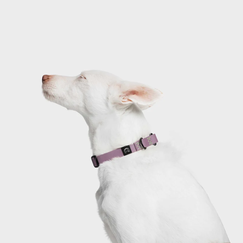 Hundehalsband BioThane Ipanema Lilac