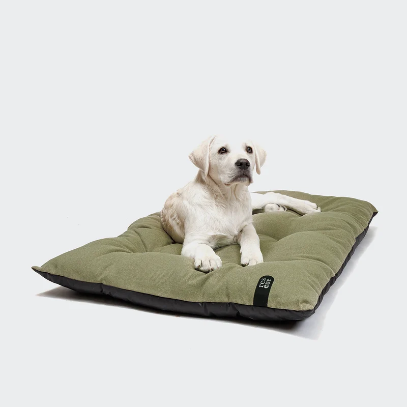 RESC7UE Hundekissen Sage