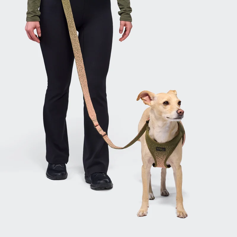 V-3 Westengeschirr AKTIV Knit Khaki/Peach