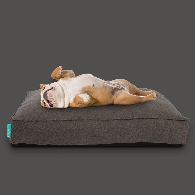 Lounger Plus Hundekissen