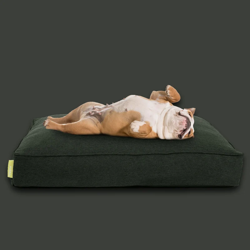 Lounger Plus Hundekissen