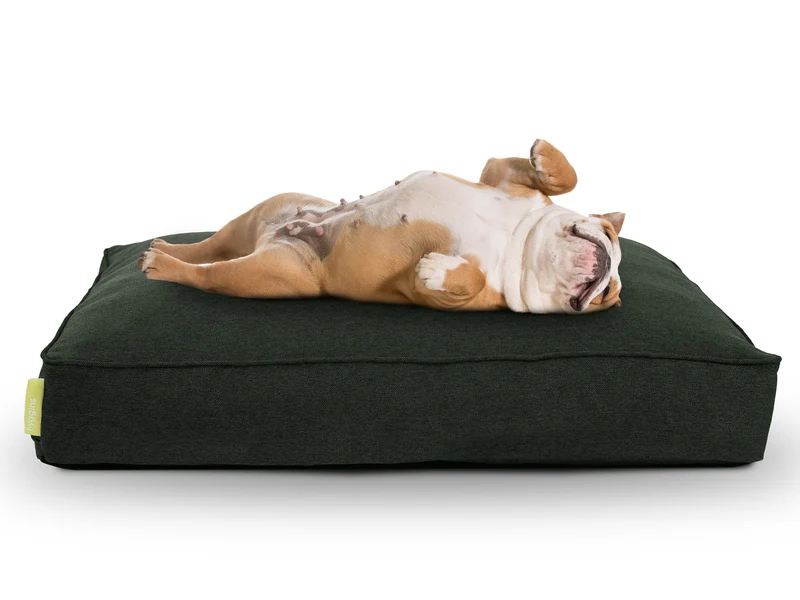Lounger Plus Hundekissen
