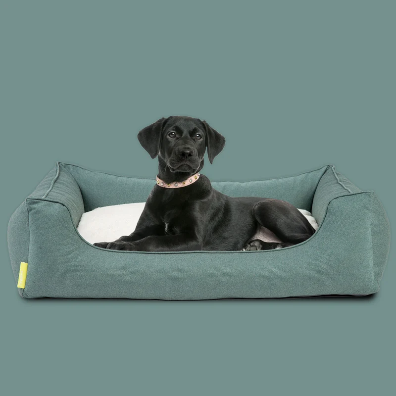 Dreamer Perfect Hundebett