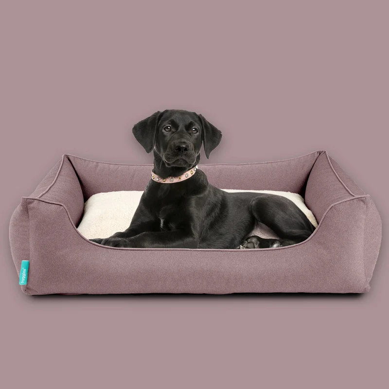 Dreamer Perfect Hundebett