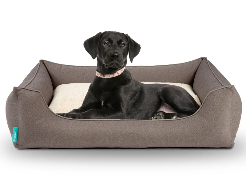 Dreamer Perfect Hundebett