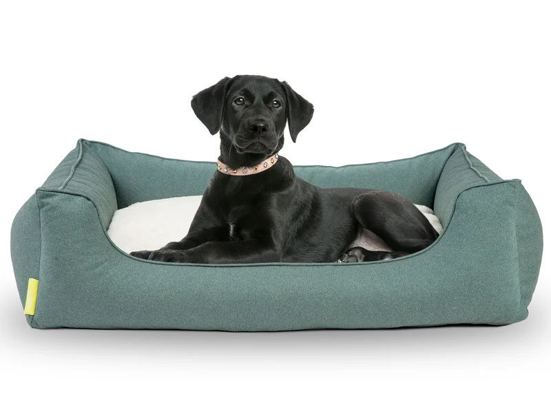Dreamer Perfect Hundebett