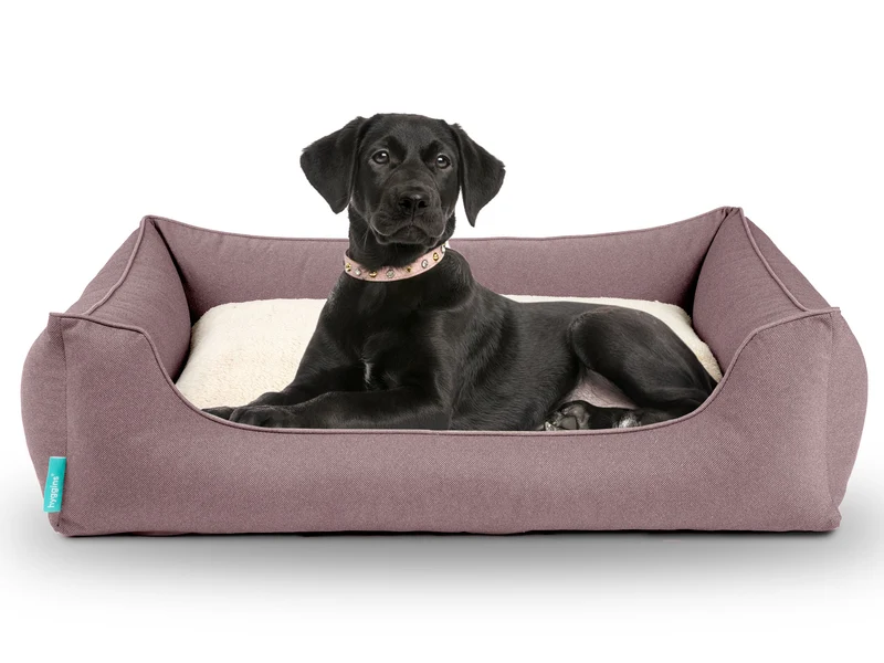 Dreamer Perfect Hundebett