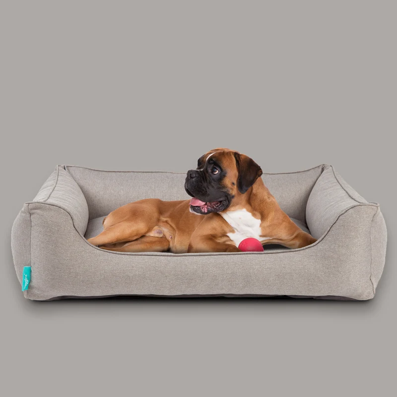 Dreamer Plus Hundebett