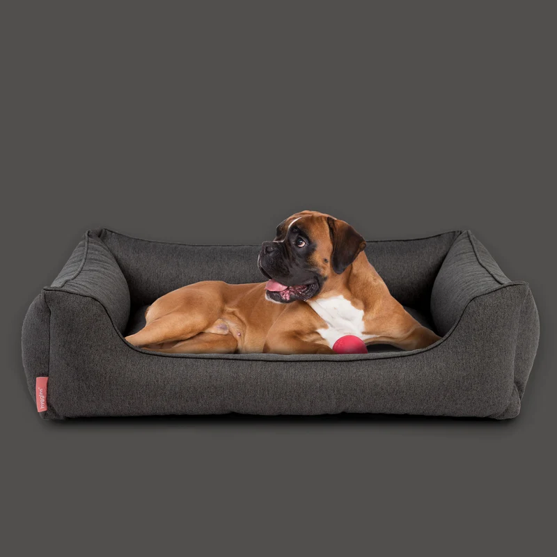 Dreamer Plus Hundebett
