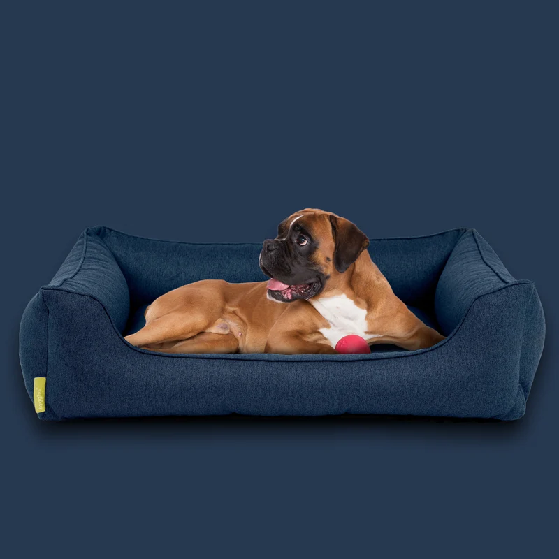Dreamer Plus Hundebett