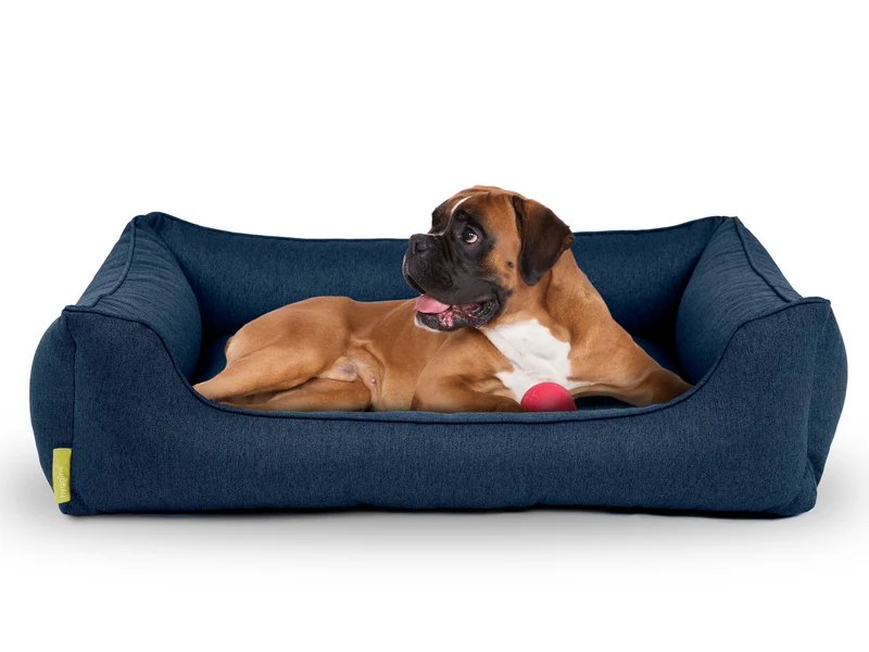 Dreamer Plus Hundebett
