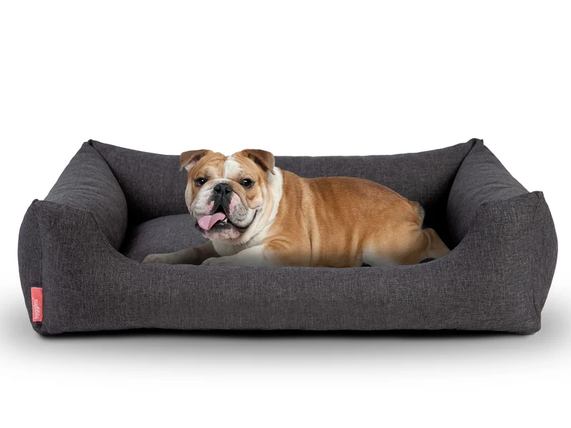 Dreamer Pure Hundebett