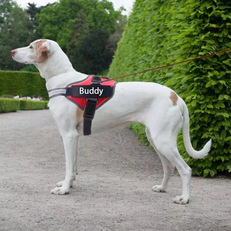 personalized dog harness reflective adjustable dog harness vest for small large dog with customized patch dogs training supplies DB966 Dropshipping