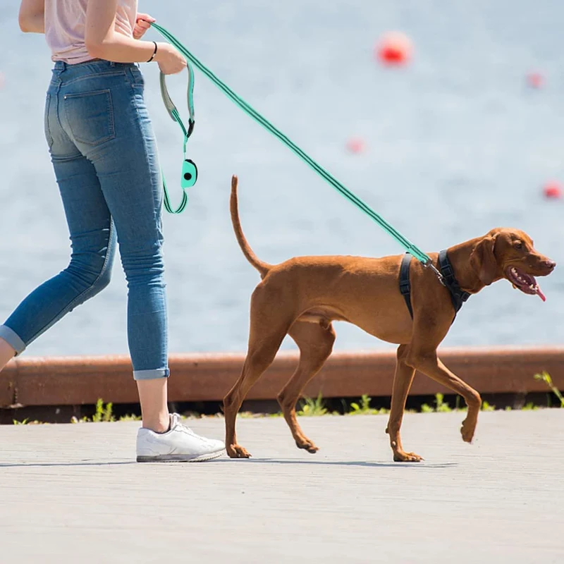 Dog Leash Reflective Nylon Pet Running Tracking Leashes Rope With poop bag Dg089