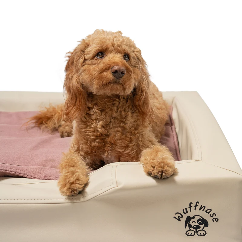 Pfotenruhe Hundebett + Anti-Haar Decke Ella – Beige/Rosa