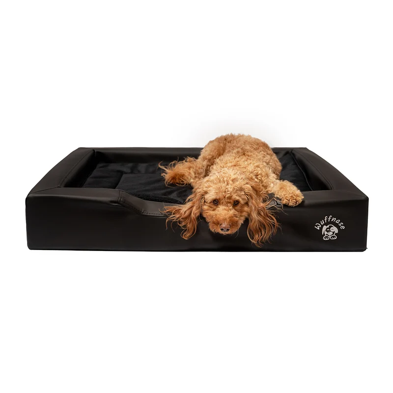Pfotenruhe Hundebett + Anti-Haar Decke Ella – Schwarz/Schwarz