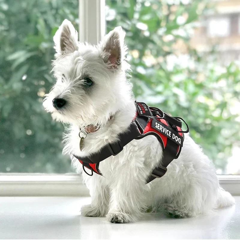 Dog Harness No pull Reflective Tactical Harness Vest