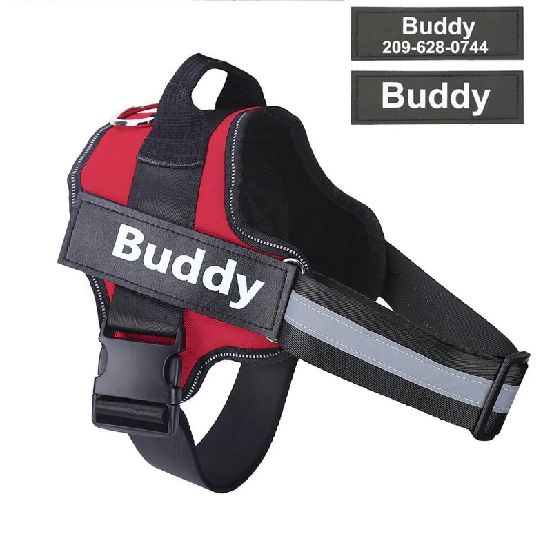 Personalized Dog Harness DD191 Drosphipping