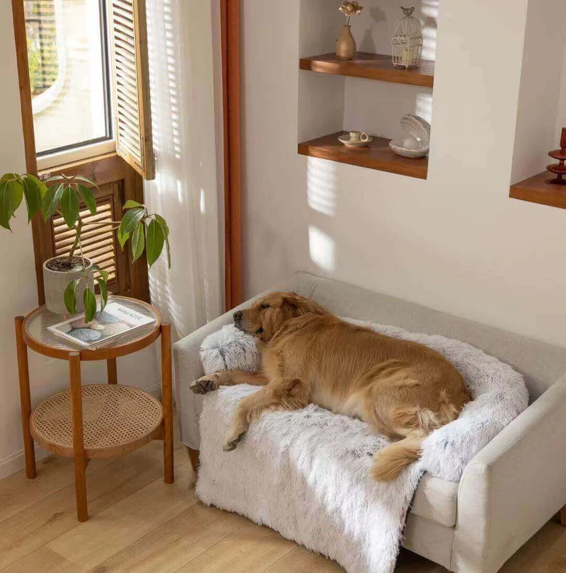 Calming Couch Protector Bed