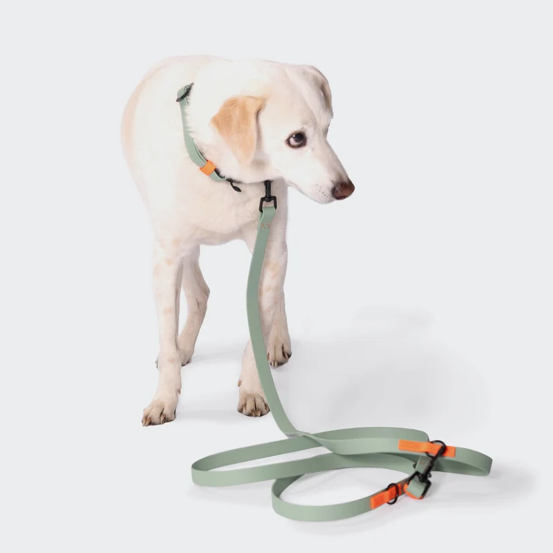 Hundeleine verstellbar BioThane Ipanema Mint-Neon Orange