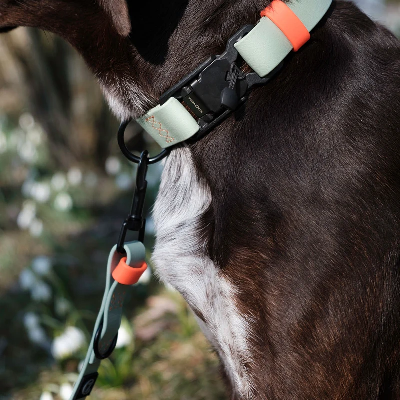 Hundeleine verstellbar BioThane Ipanema Mint-Neon Orange