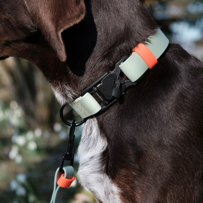 Hundehalsband BioThane Ipanema Mint-Neon Orange
