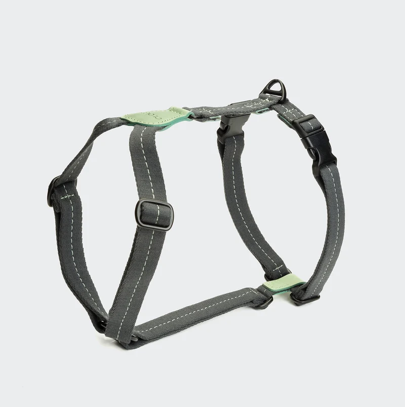 Y-Hundegeschirr Madeira Mint
