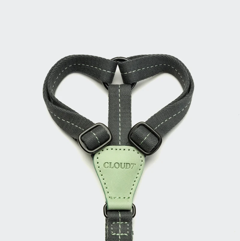 Y-Hundegeschirr Madeira Mint