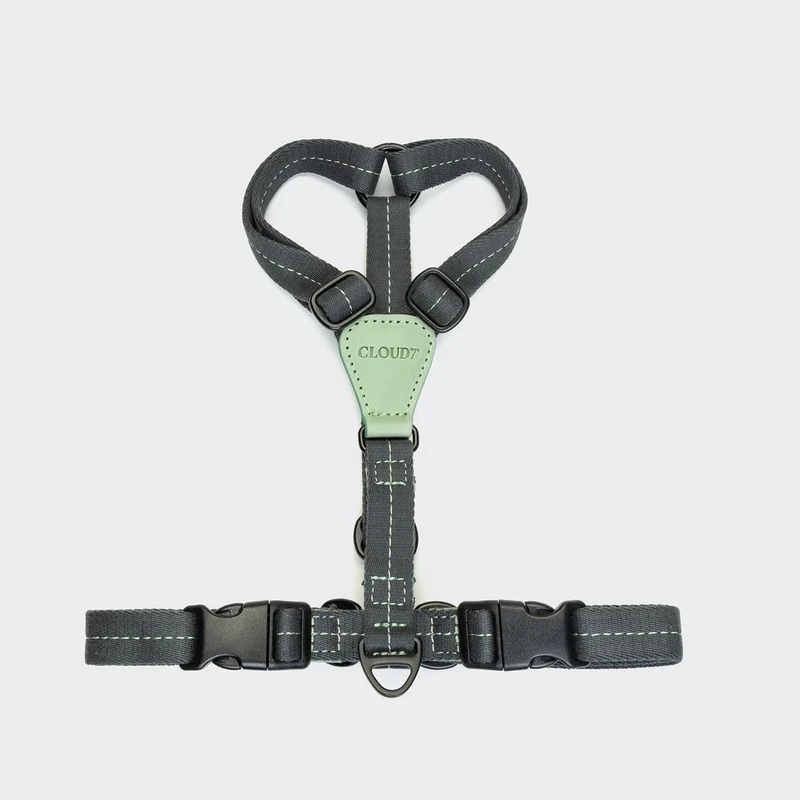 Y-Hundegeschirr Madeira Mint