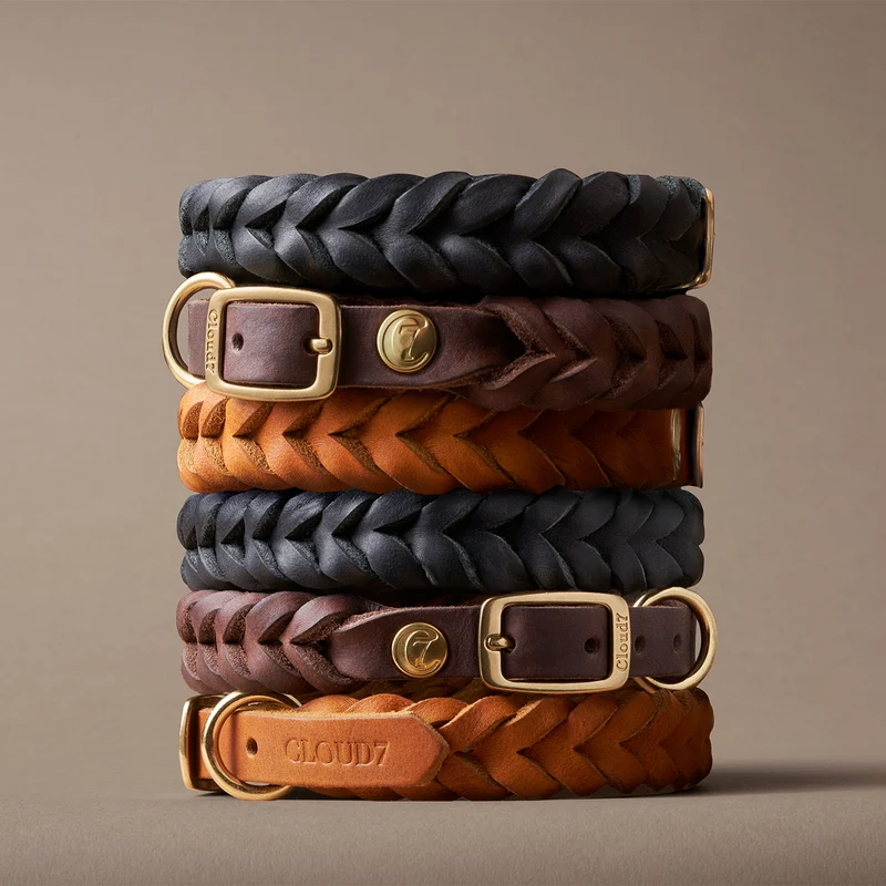 Hundehalsband Central Park Black Gold