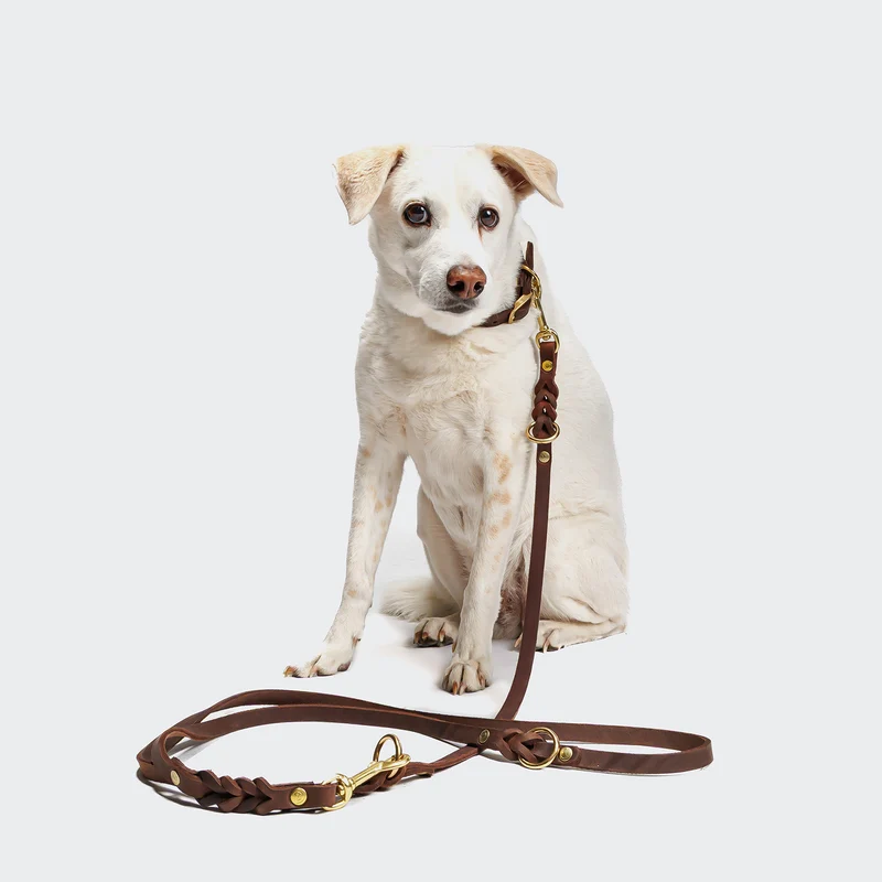 Hundeleine Riverside Park Saddle Brown Gold