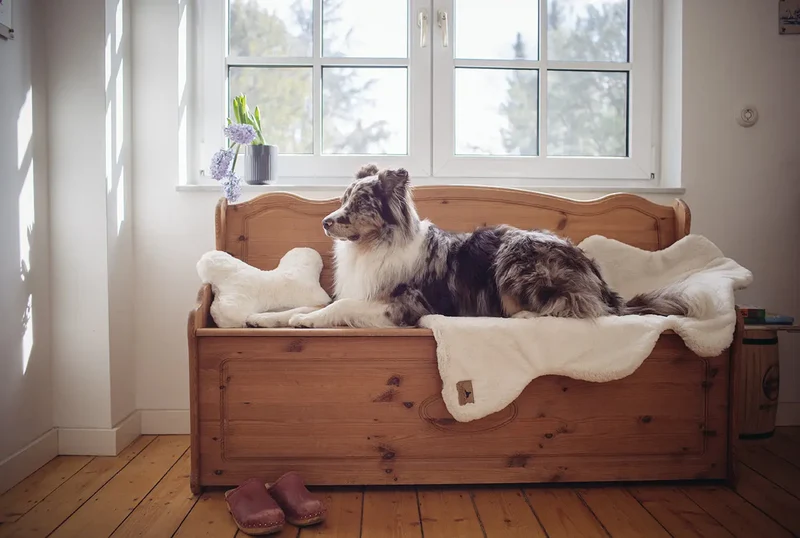 HYGGELAMB veganes Lammfell | Schaffell für Hunde Maroon