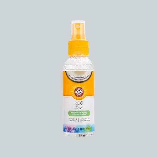 Hundezahnpflege Dental Spray