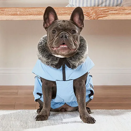 Hunde Wintermantel Amundsen Mops & Co.