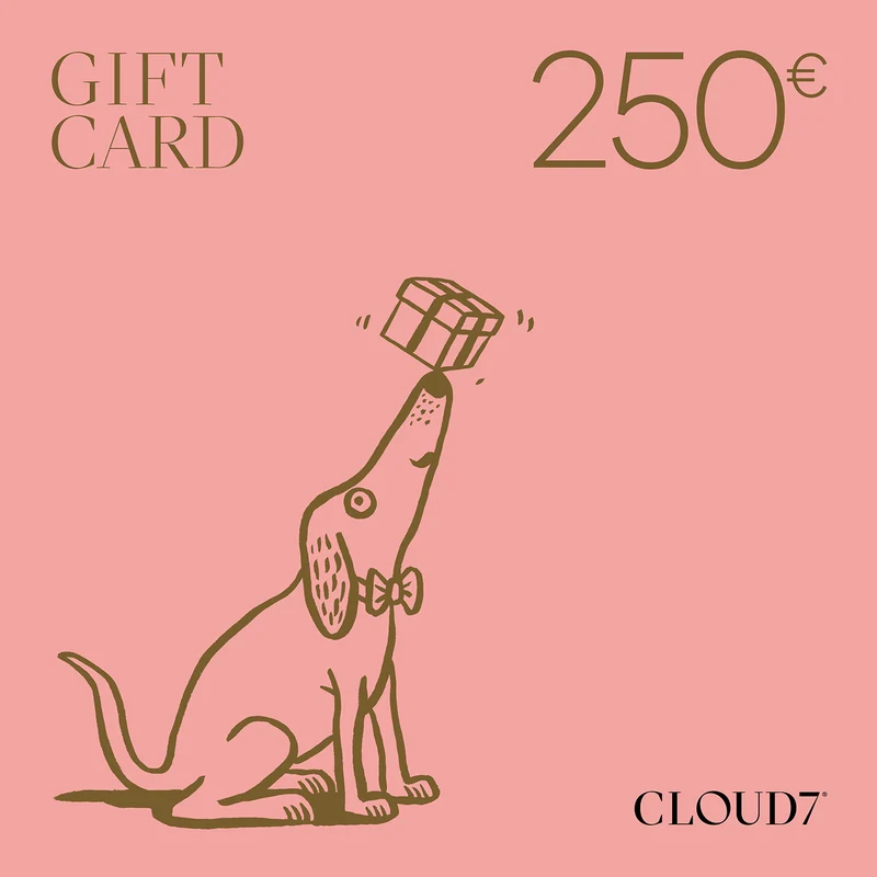 CLOUD7 Geschenkgutschein