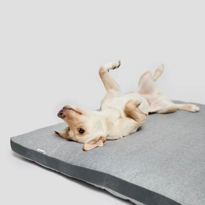 Hundebett Siesta Tweed Grey