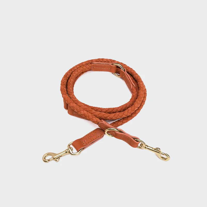 Hundeleine Ravello Rust