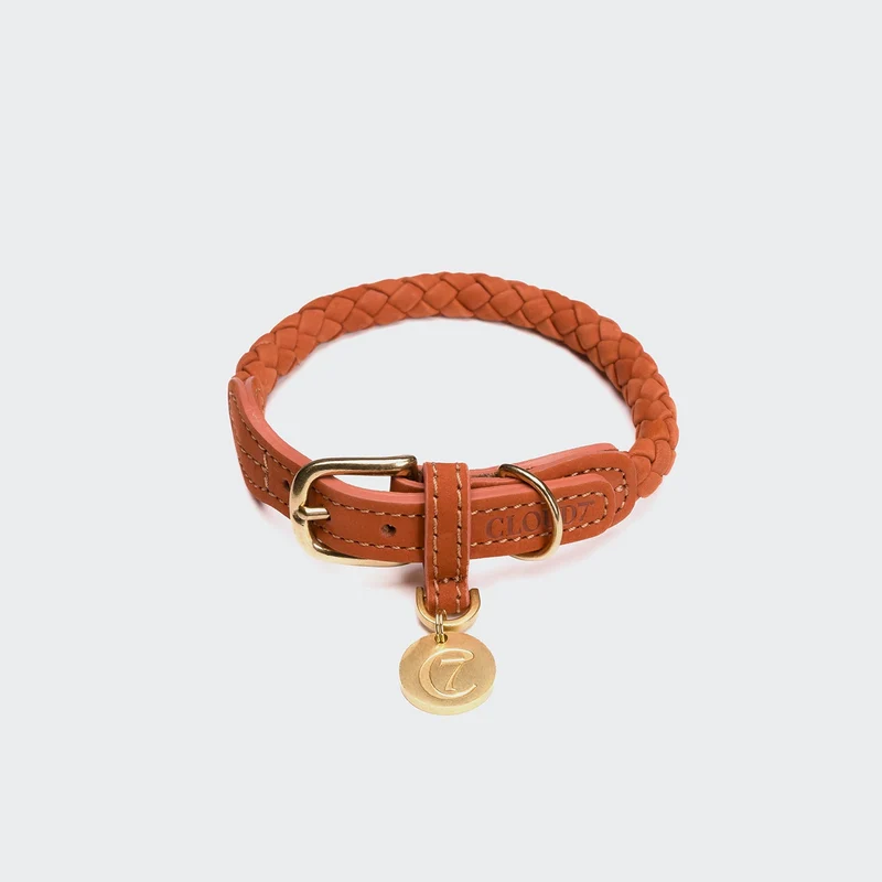 Hundehalsband Ravello Rust