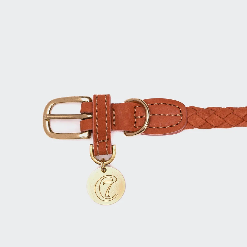 Hundehalsband Ravello Rust