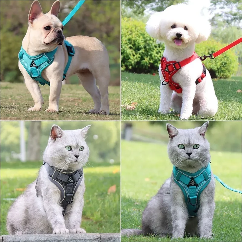 Pet Cat harness and Leash Set Reflective Breathable Dog harness Adjustable For Puppy kitten harness Vest Pet accessories