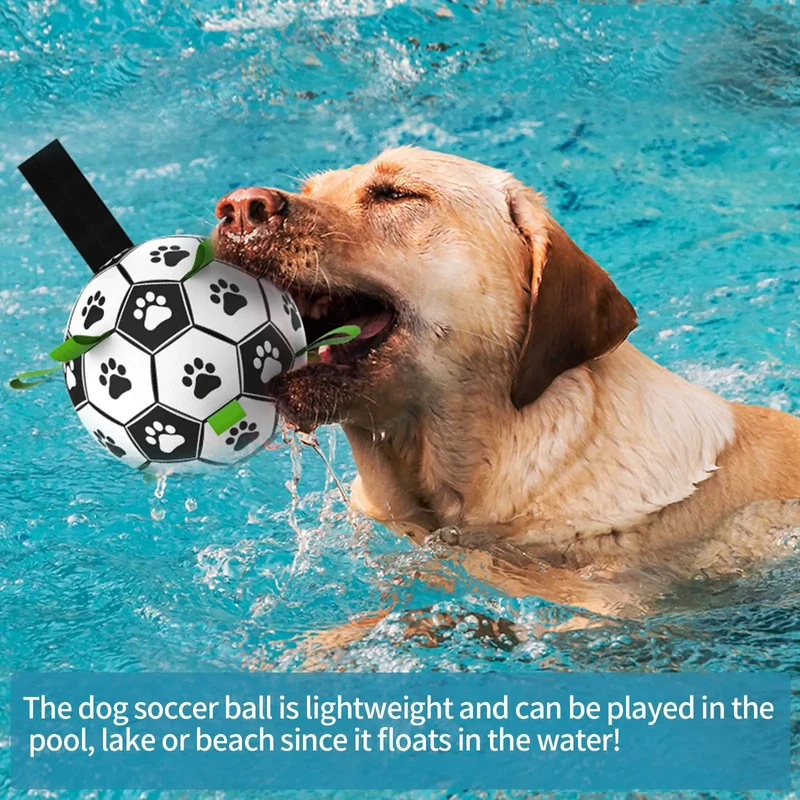 Dog Toy Pet Favorite Football Fitness Toy For Large Small Dog Outdoor Interactive Training Pet Bite Chew Ball Toys And Inflator