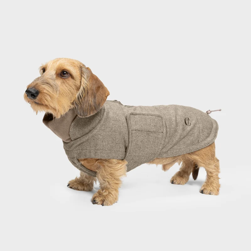 Hundemantel Dackel Brooklyn Tweed Beige