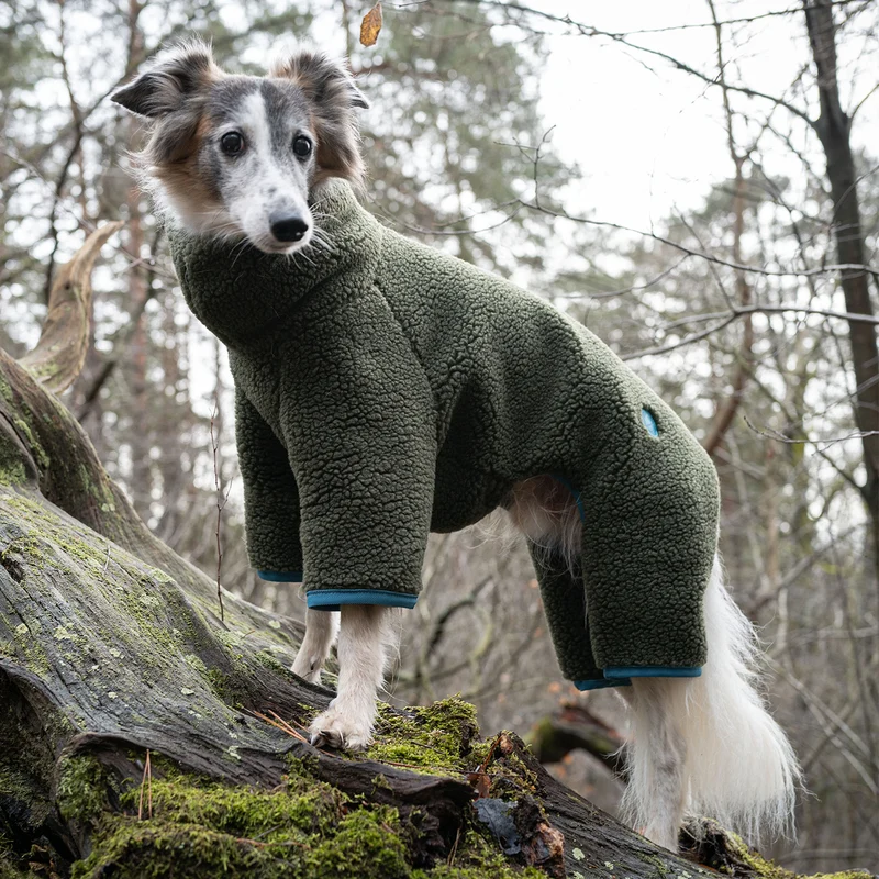 Hundepullover Windspiel Cornwall Teddy Olive