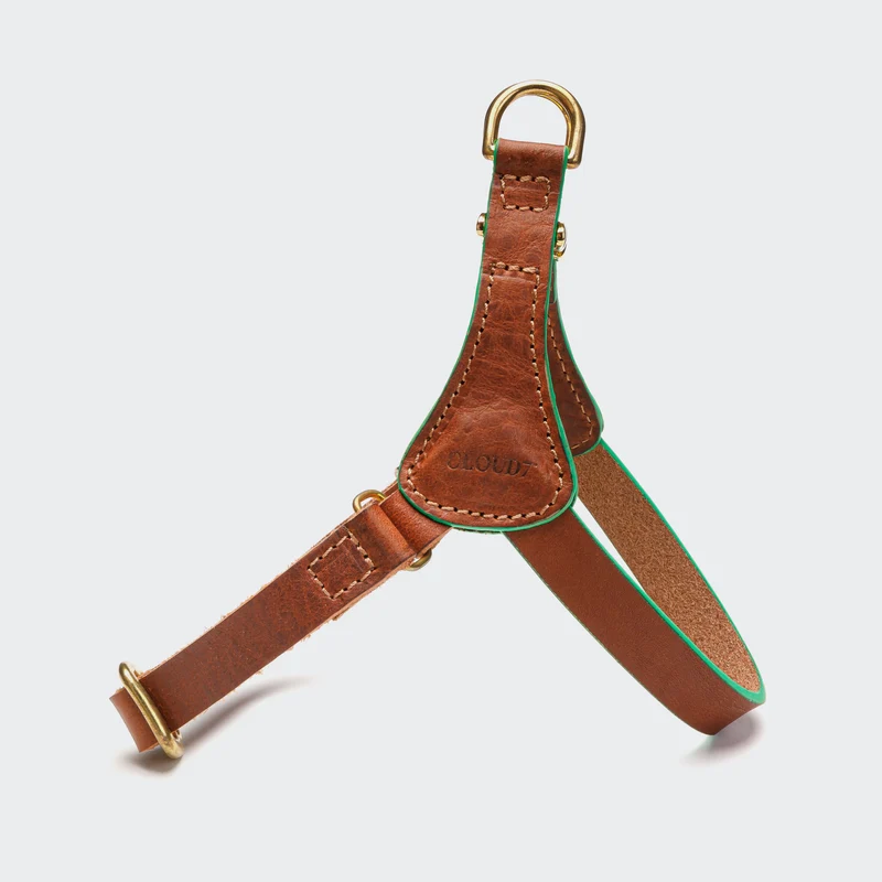 Norwegergeschirr Prince Park Cognac/Green